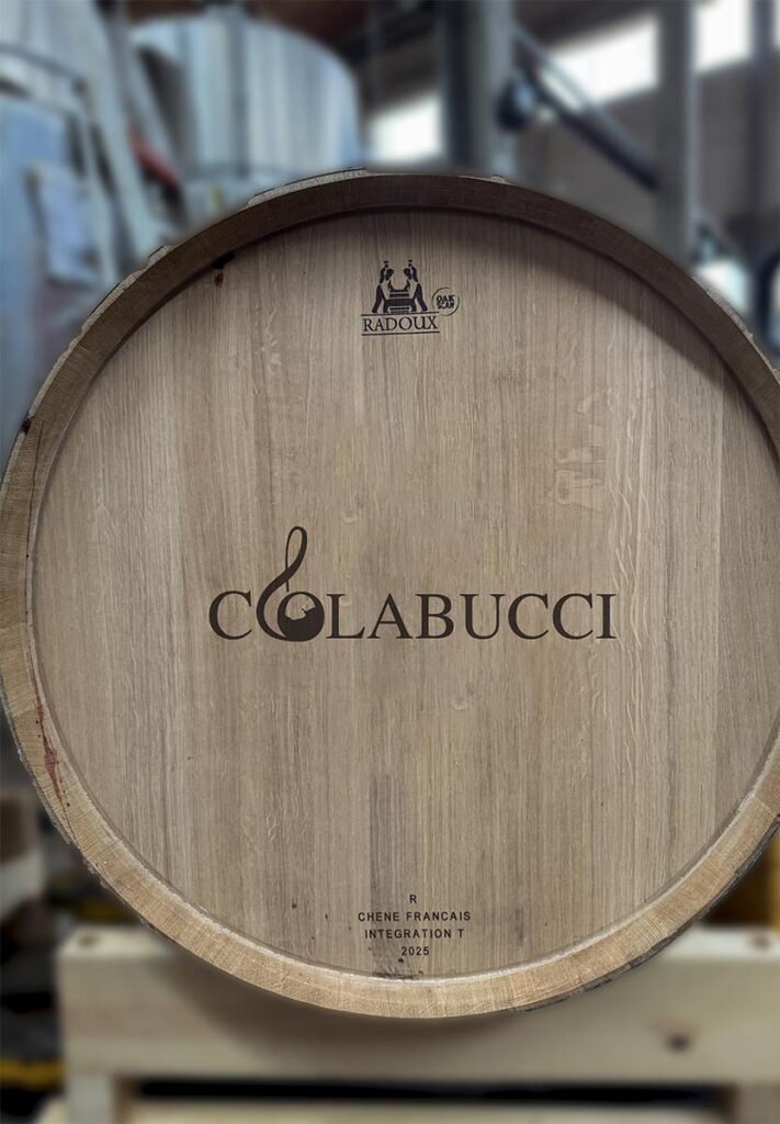 Colabucci vini Piglio (Fr)